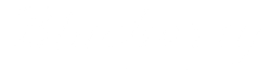 Blueberry American Bakery